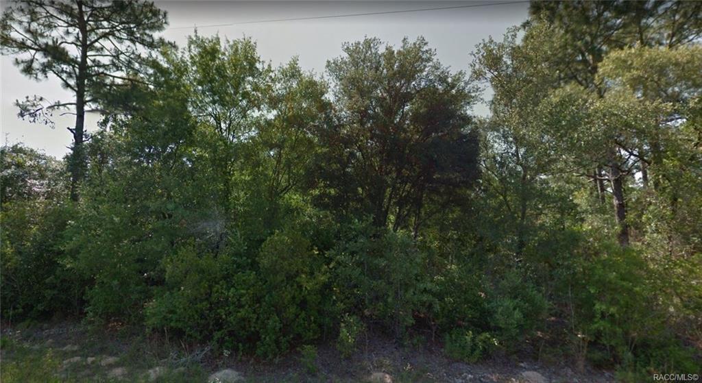 8579 Trojan Drive - Photo 1