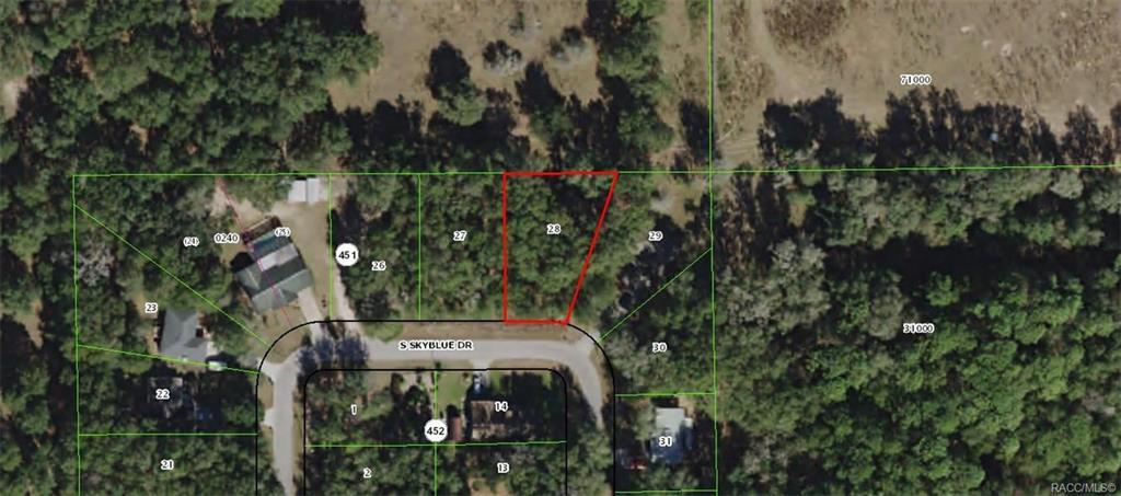 4804 Skyblue Drive - Photo 1