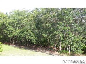 00 Debra Street - Photo 1