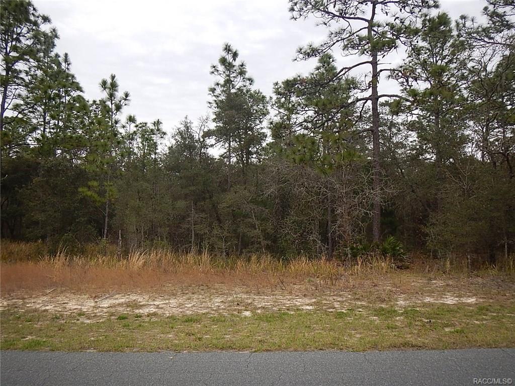2527 Begonia Drive - Photo 1