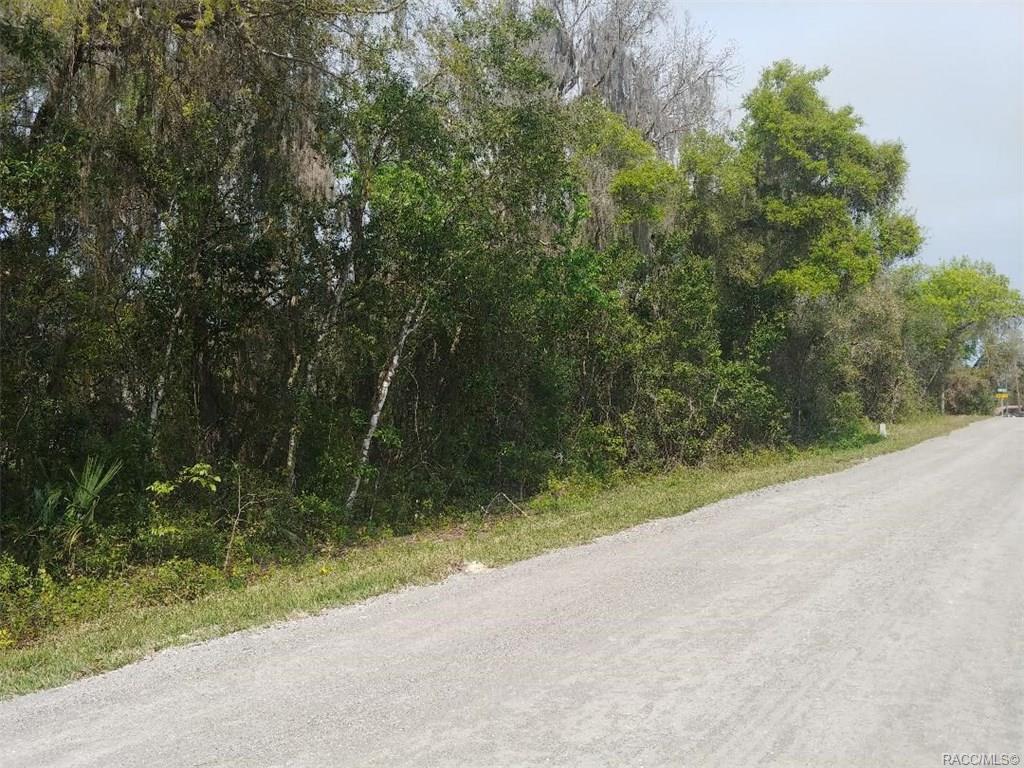 1167 Point Lonesome Road - Photo 1