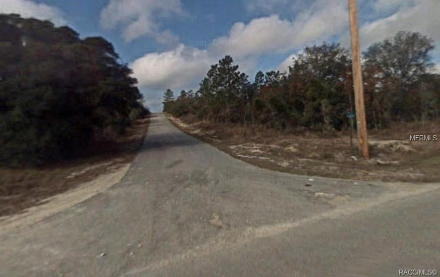 0 Mango Lane - Photo 1