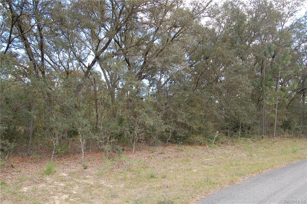 2835 Acorn Court - Photo 1
