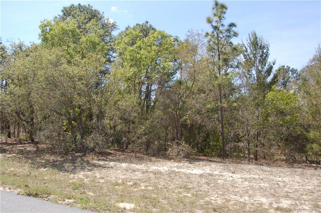 11350 Kenney Loop - Photo 1