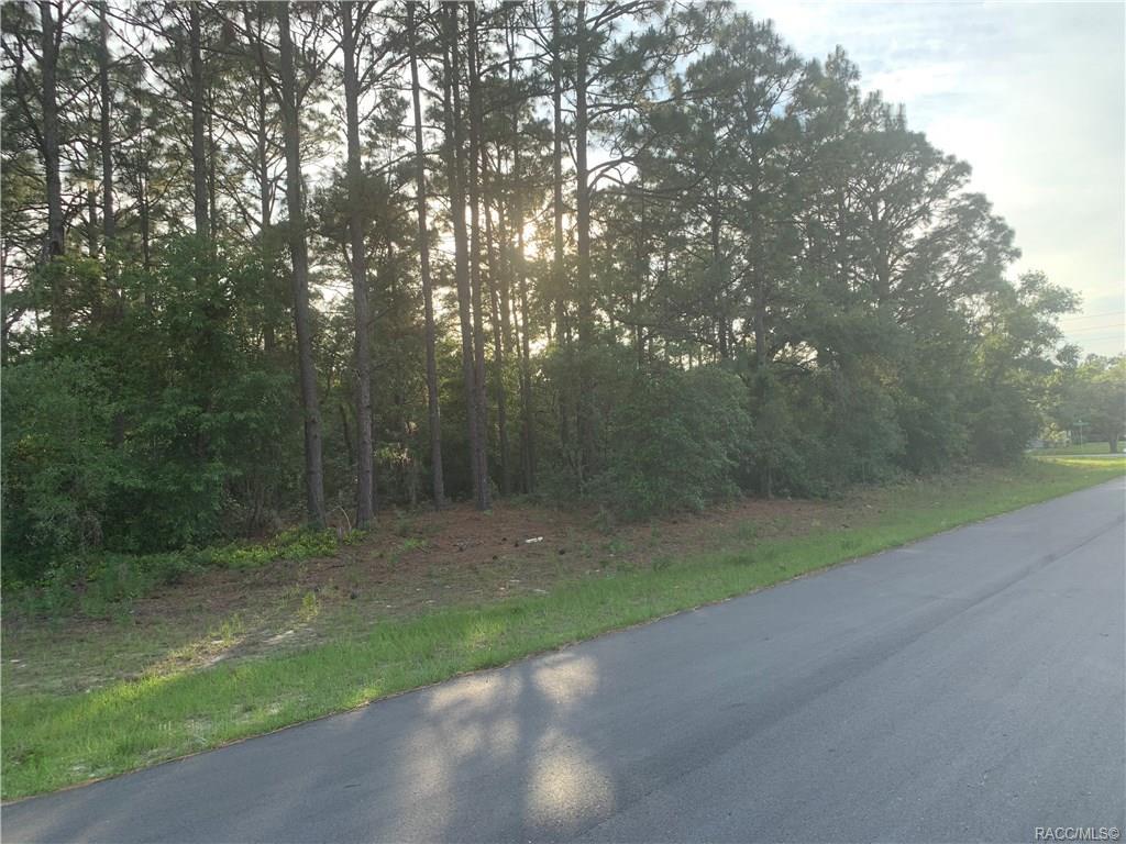 8418 Amboy Drive - Photo 1