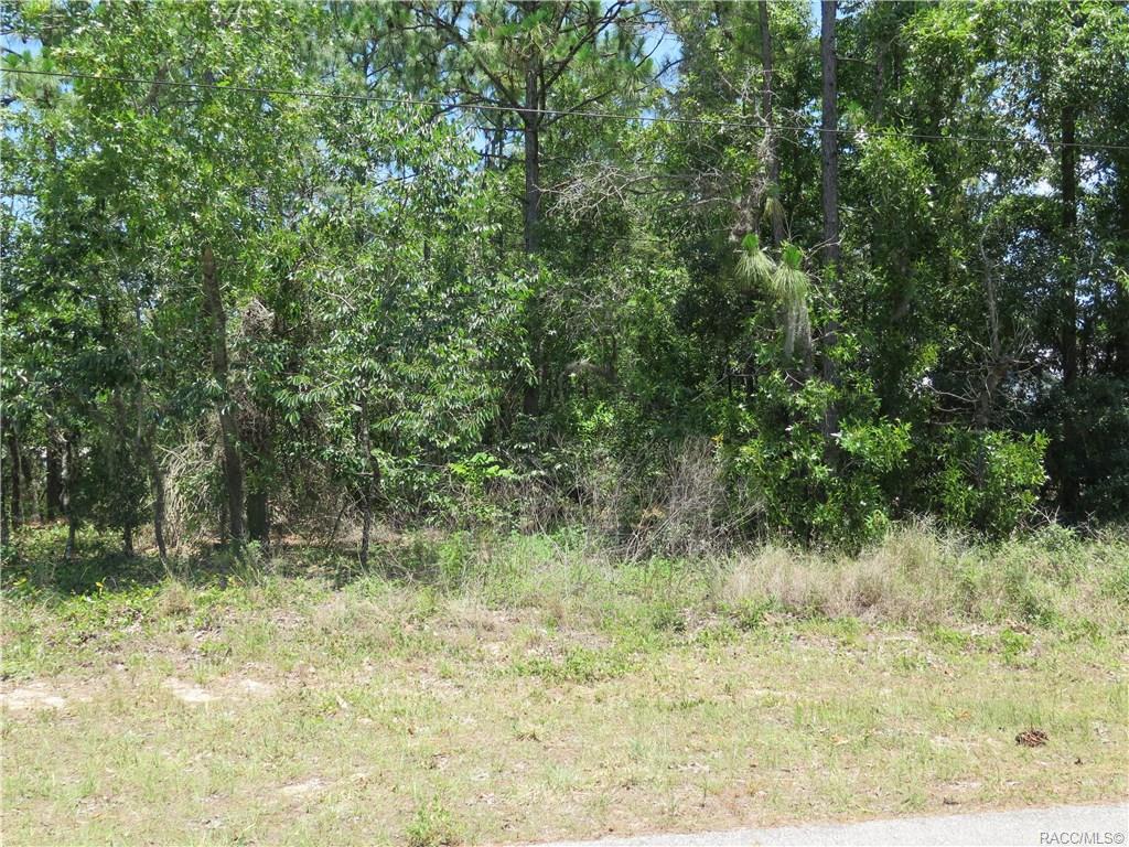 1575 Mckinley Street - Photo 1