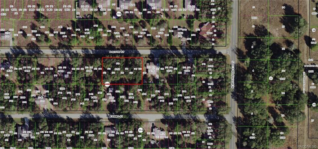 4068 Scotty Street - Photo 1