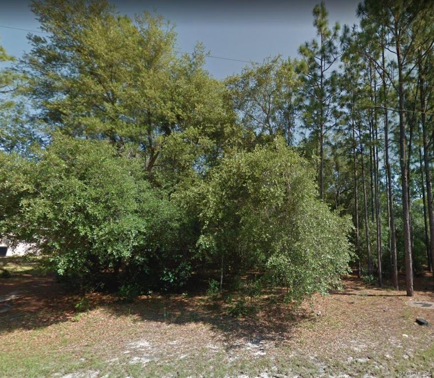 1391 Saint Elizabeth Place - Photo 1