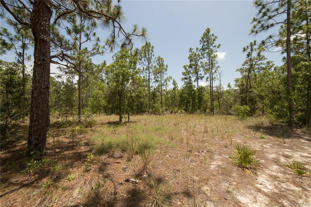 3778 Pony Drive - Photo 1