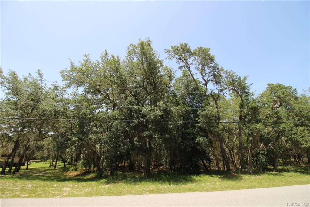 669 Pearson Street - Photo 1
