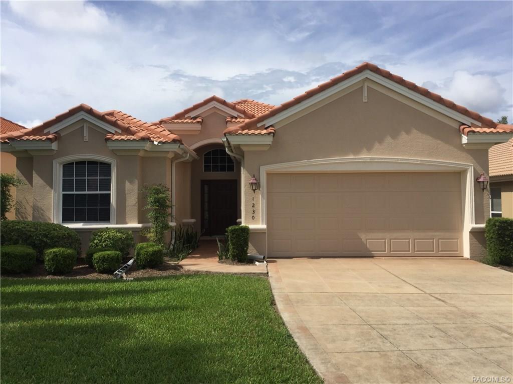 1230 Diamond Shore Loop - Photo 1