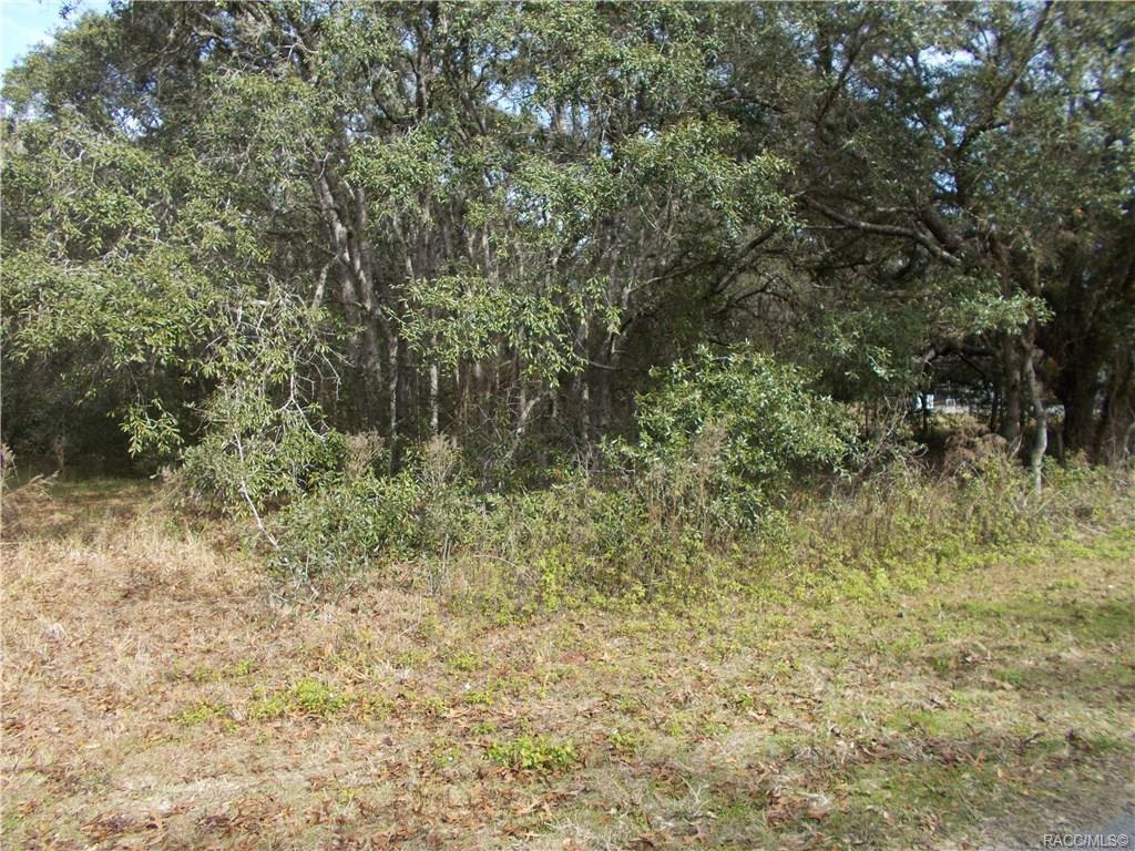2499 Magenta Drive - Photo 1