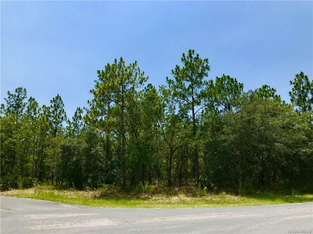 14 Black Willow Court - Photo 1