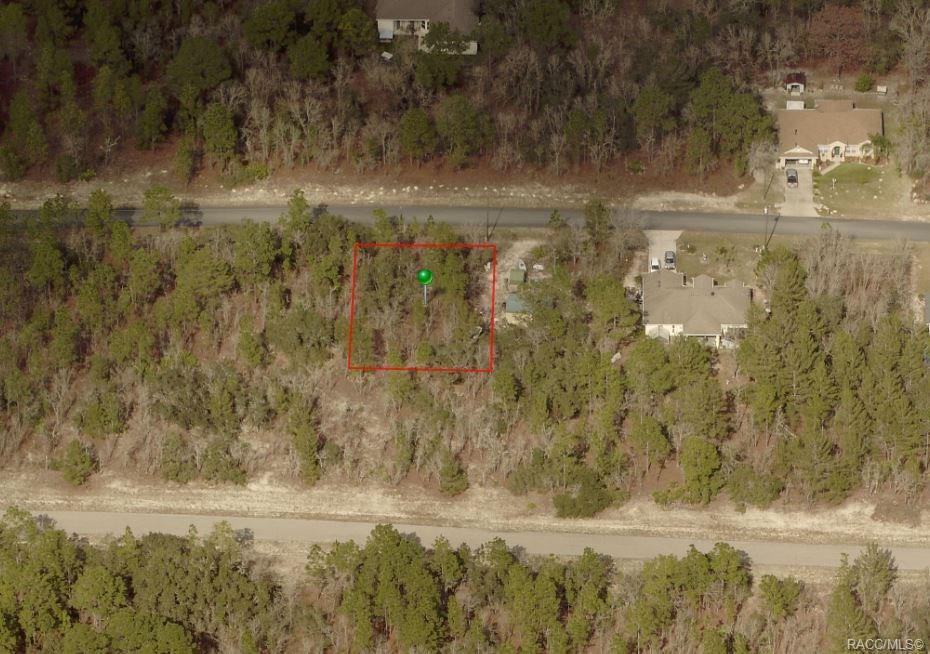 3506 Hayward Lane - Photo 1