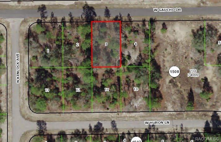 2890 Gaucho Drive - Photo 1
