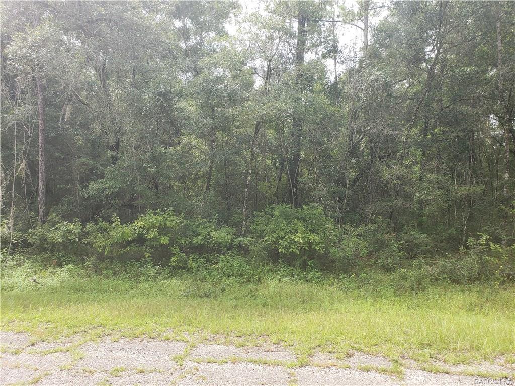 1541 Derby Drive - Photo 1
