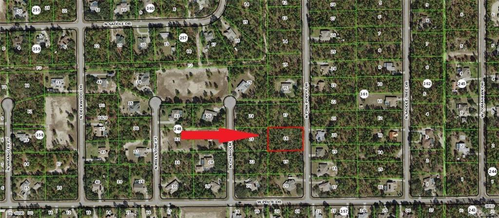 4146 Pink Poppy Drive - Photo 1