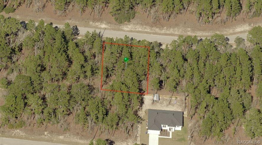 9351 Fairy Lilly Drive - Photo 1