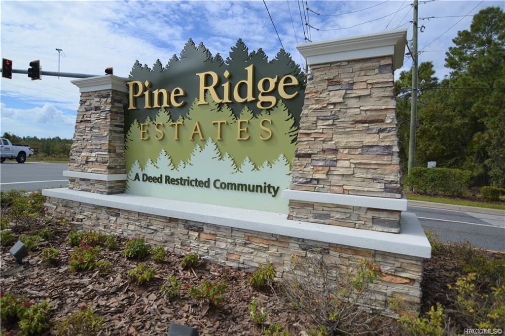 4963 Pine Ridge Boulevard - Photo 1