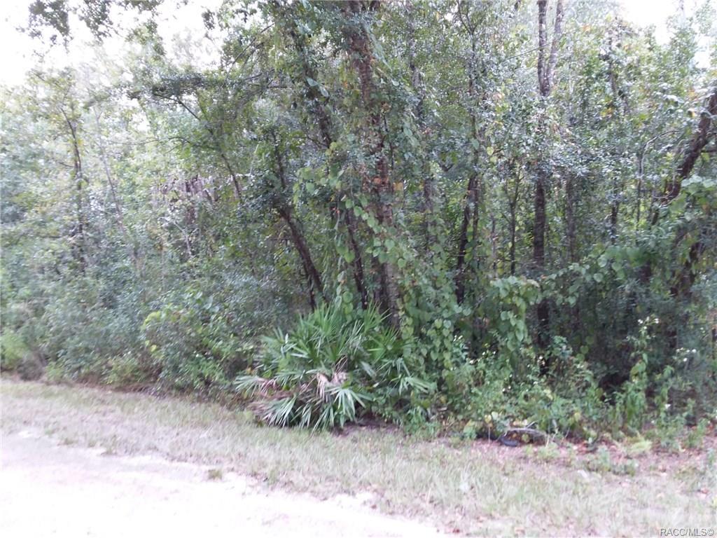 6353 Country Club Drive - Photo 1