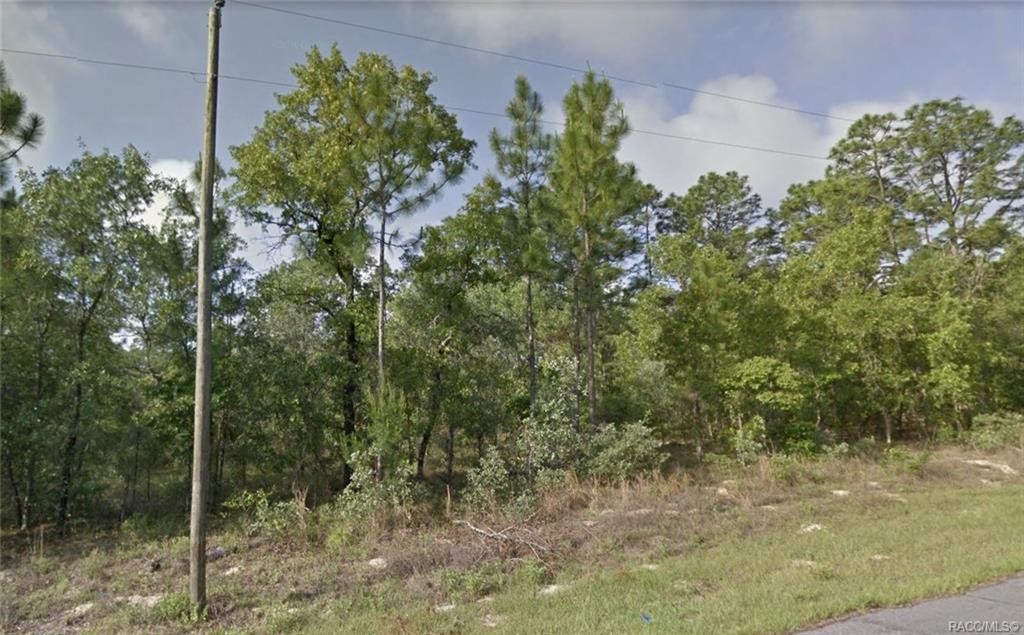 7054 Maltese Drive - Photo 1