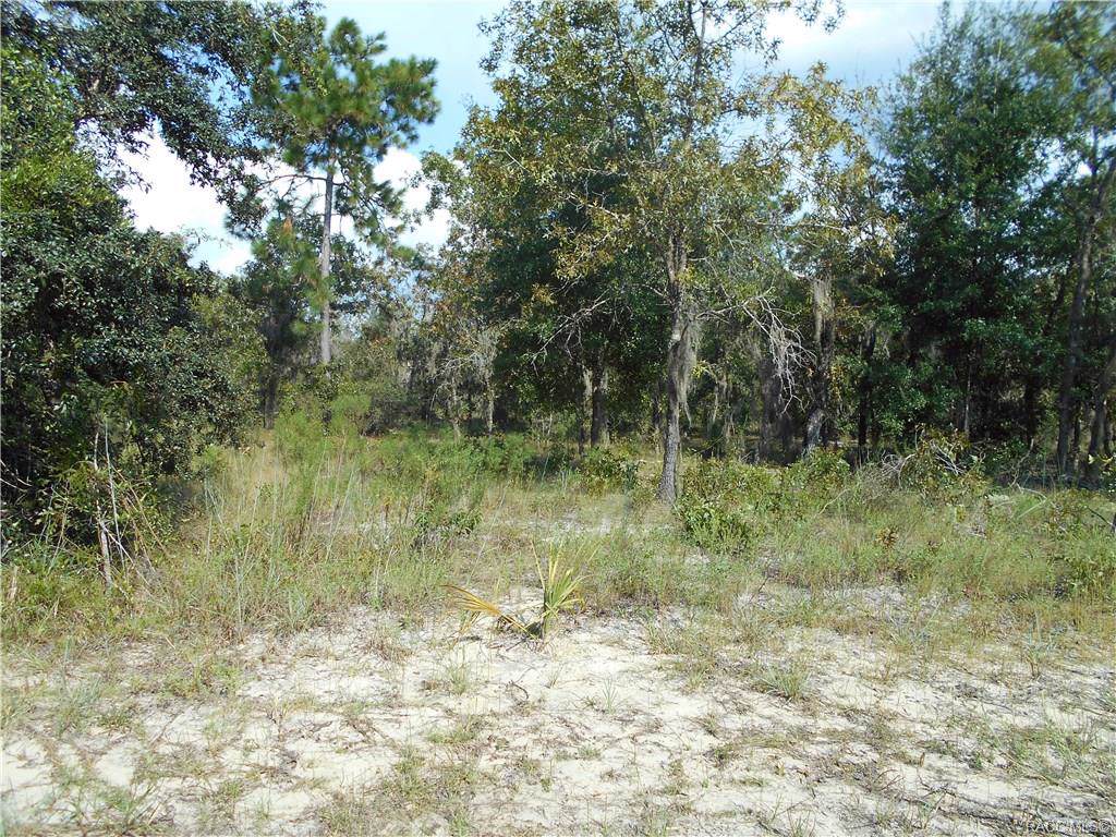 11787 Belluzzi Terrace - Photo 1