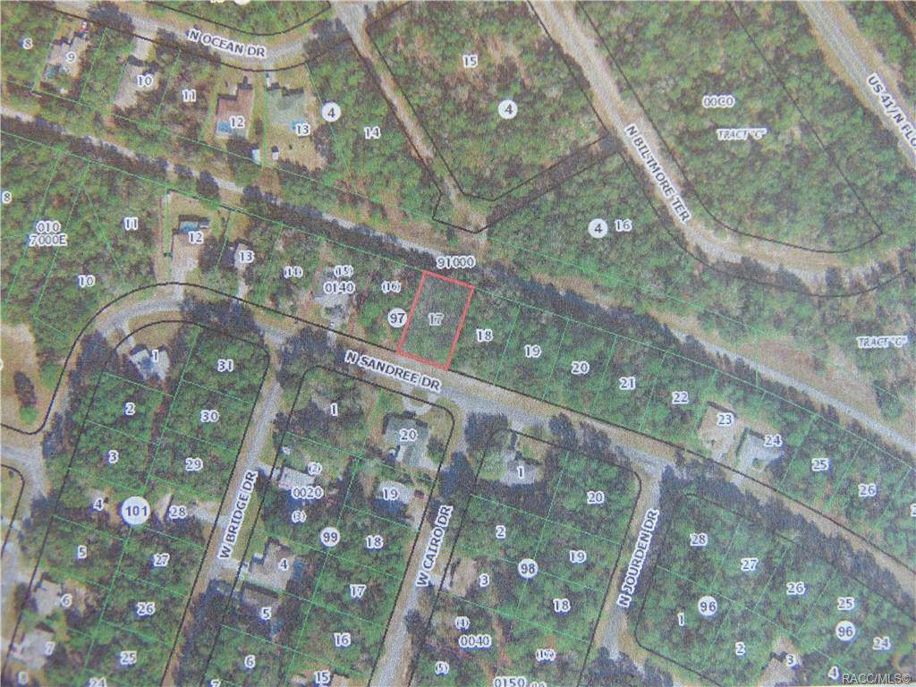 9905 Sandree Drive - Photo 1