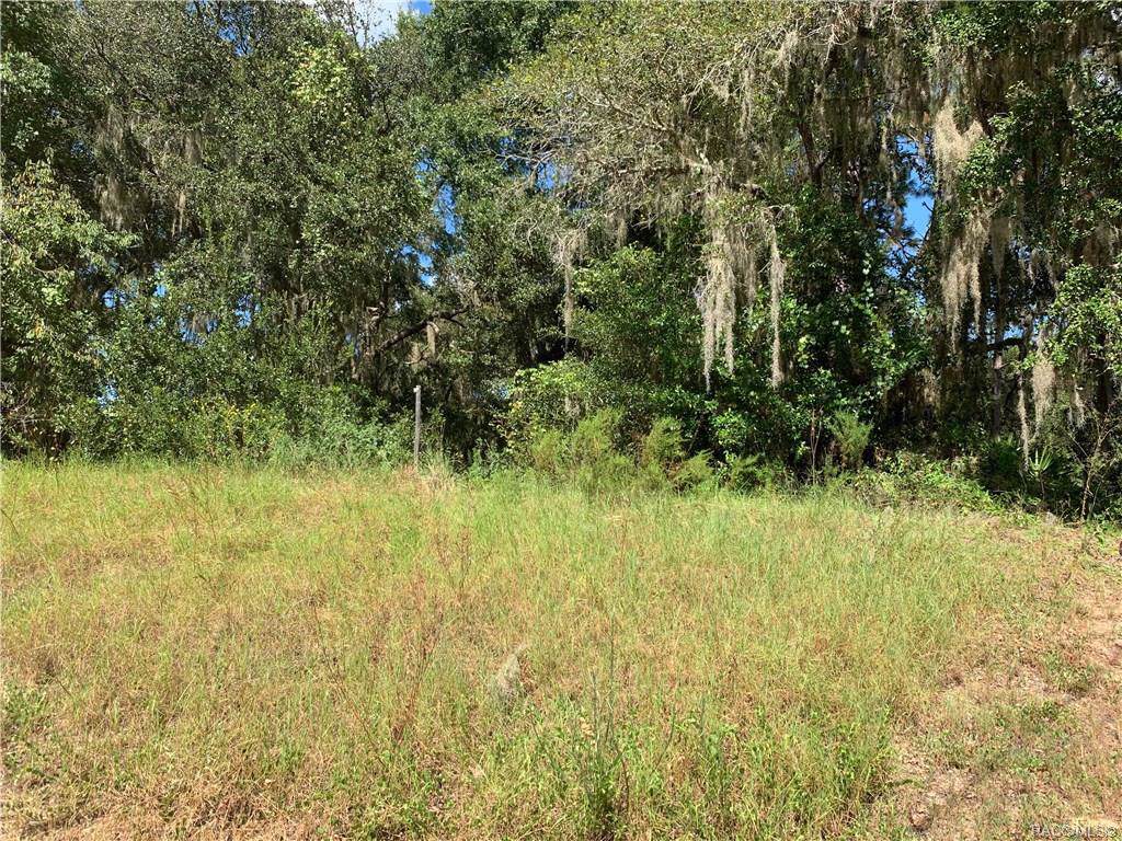 11867 Elkcam Boulevard - Photo 1