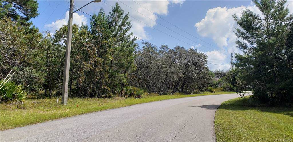 3 Balsam Street - Photo 1