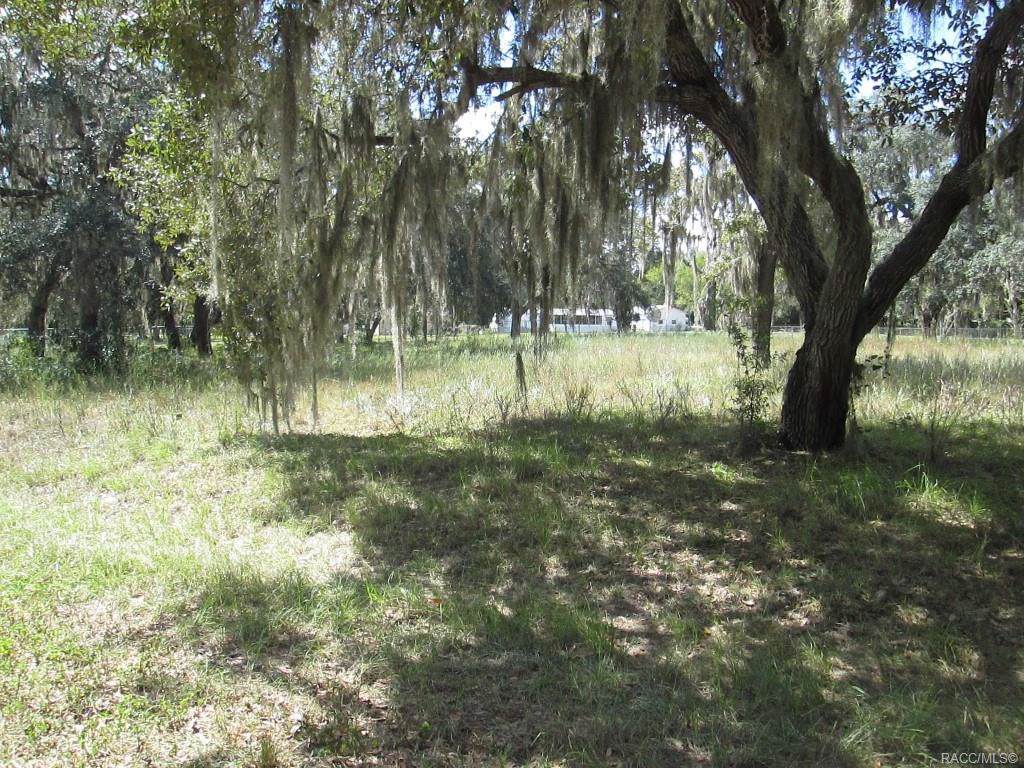 5272 Western Drive - Photo 1