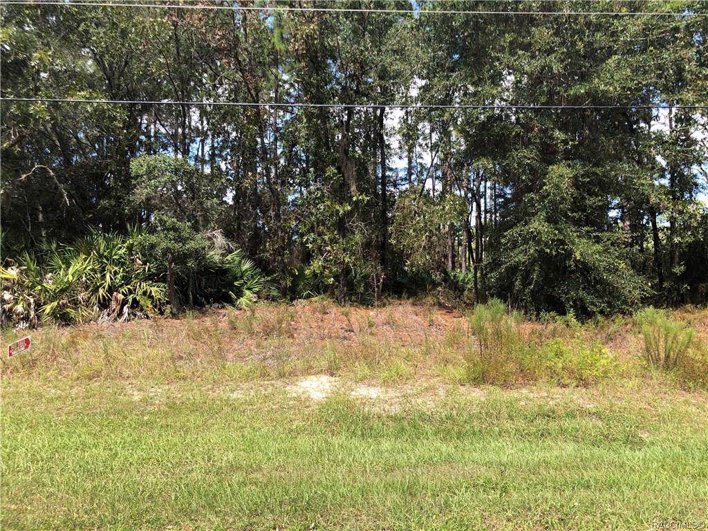 673 Anderson Lane - Photo 1