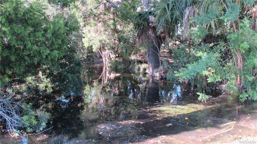 2308 Watersedge Drive - Photo 1