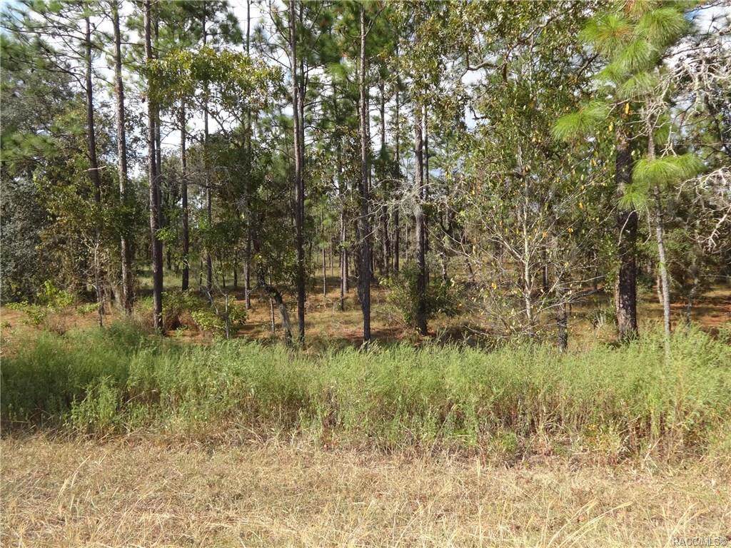 0 85th Place - Photo 1