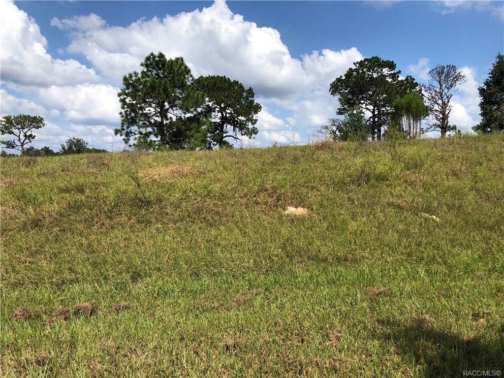 4455 Liza Knowlton Drive - Photo 1
