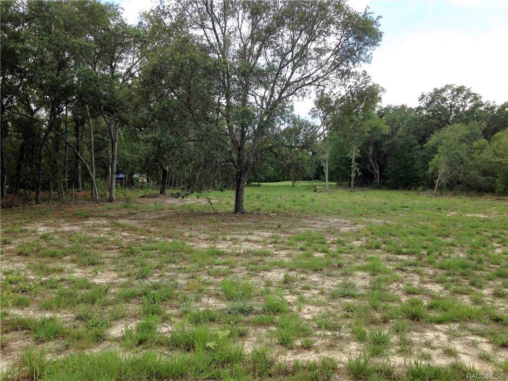 5720 Lena Drive - Photo 1