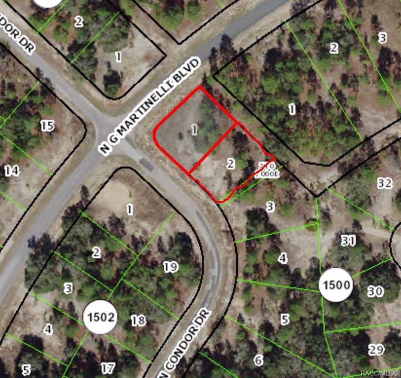 11471 & 11457 Condor Drive - Photo 1