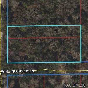 0 Winding River Lane - Photo 1