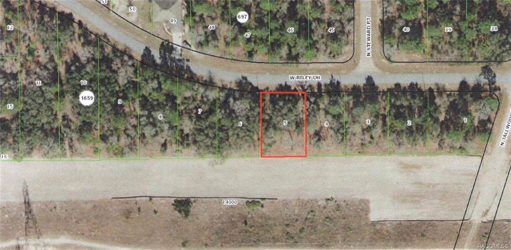 2454 Riley Drive - Photo 1