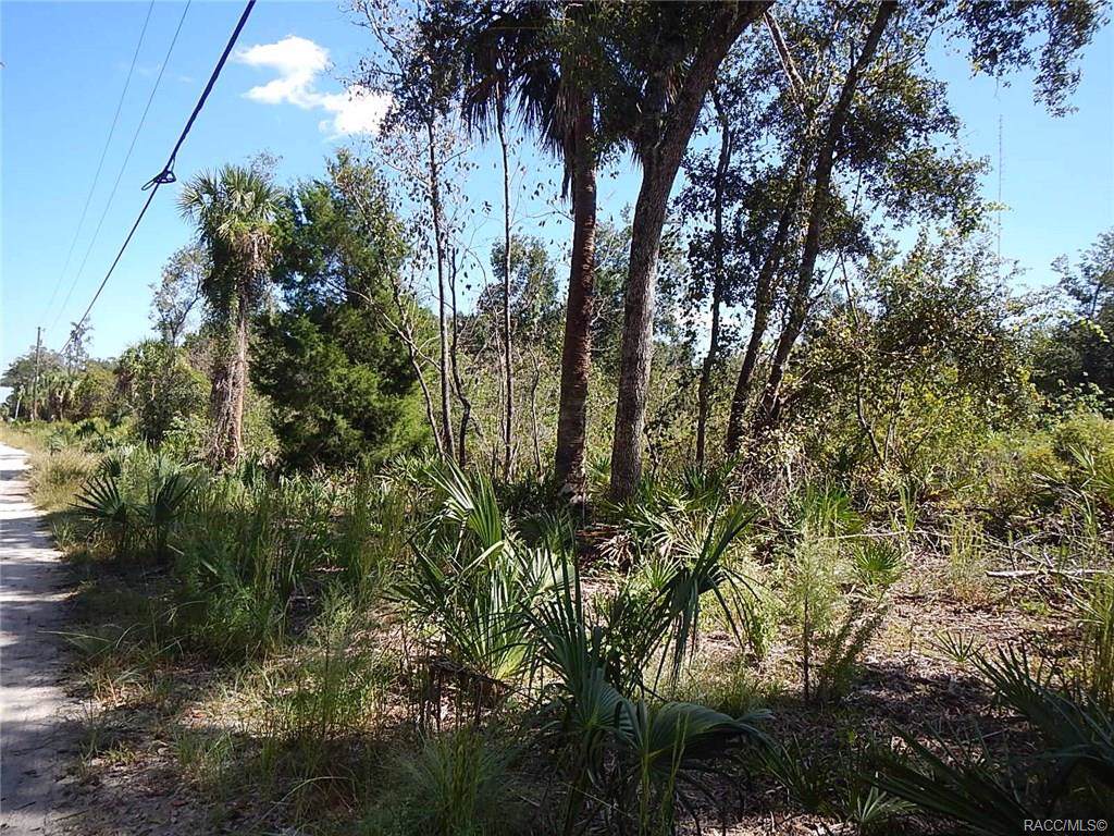 15312 Rooster Crows Road - Photo 1
