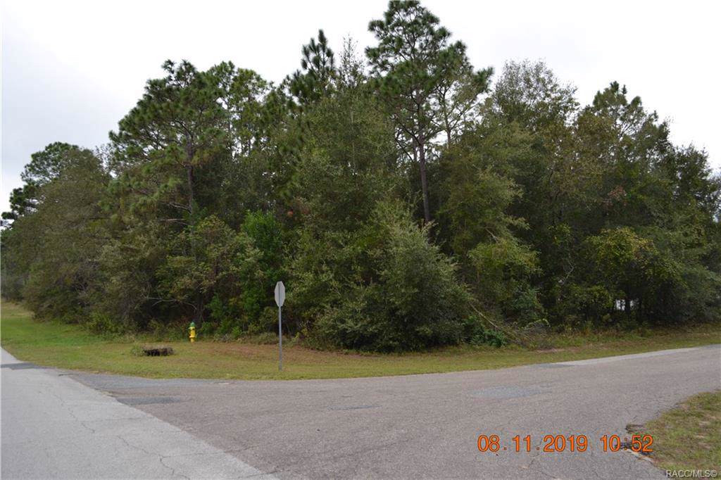 7936 Golfview Drive - Photo 1