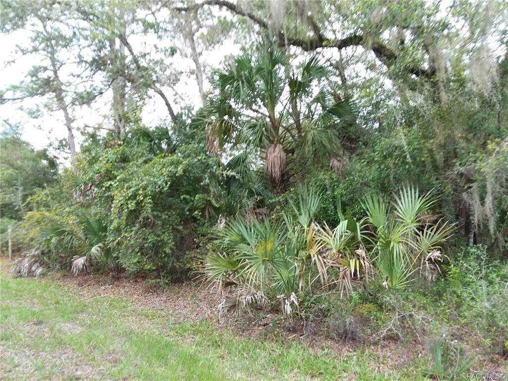 12939 Almond Place - Photo 1