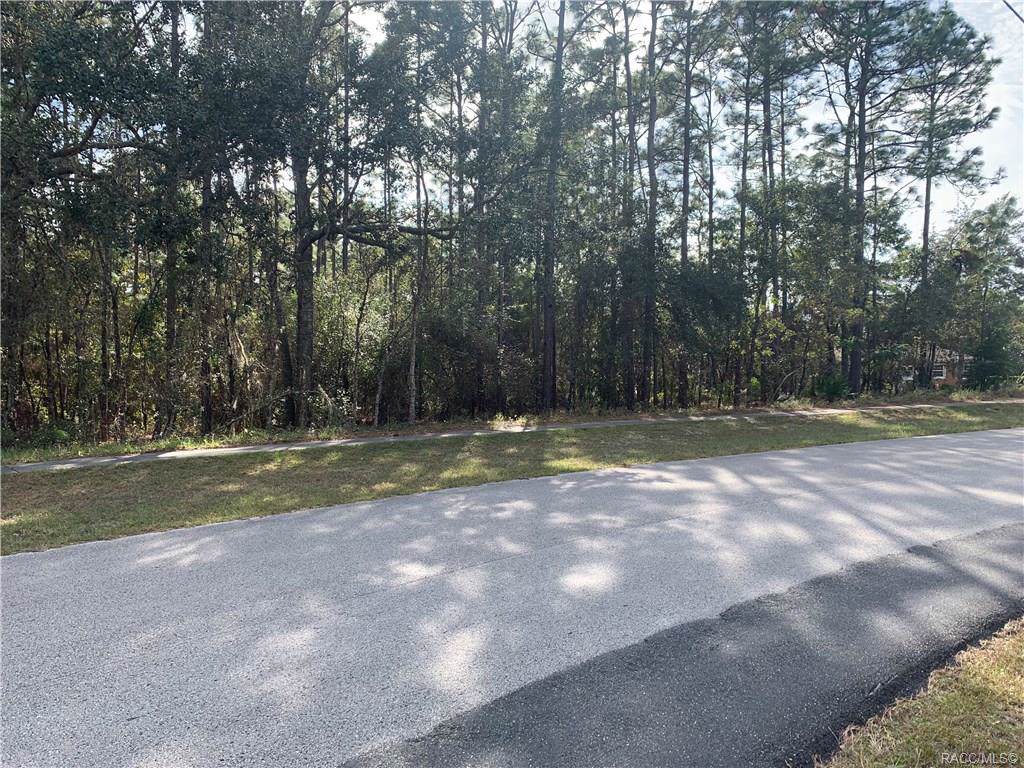 3428 Daffodil Drive - Photo 1
