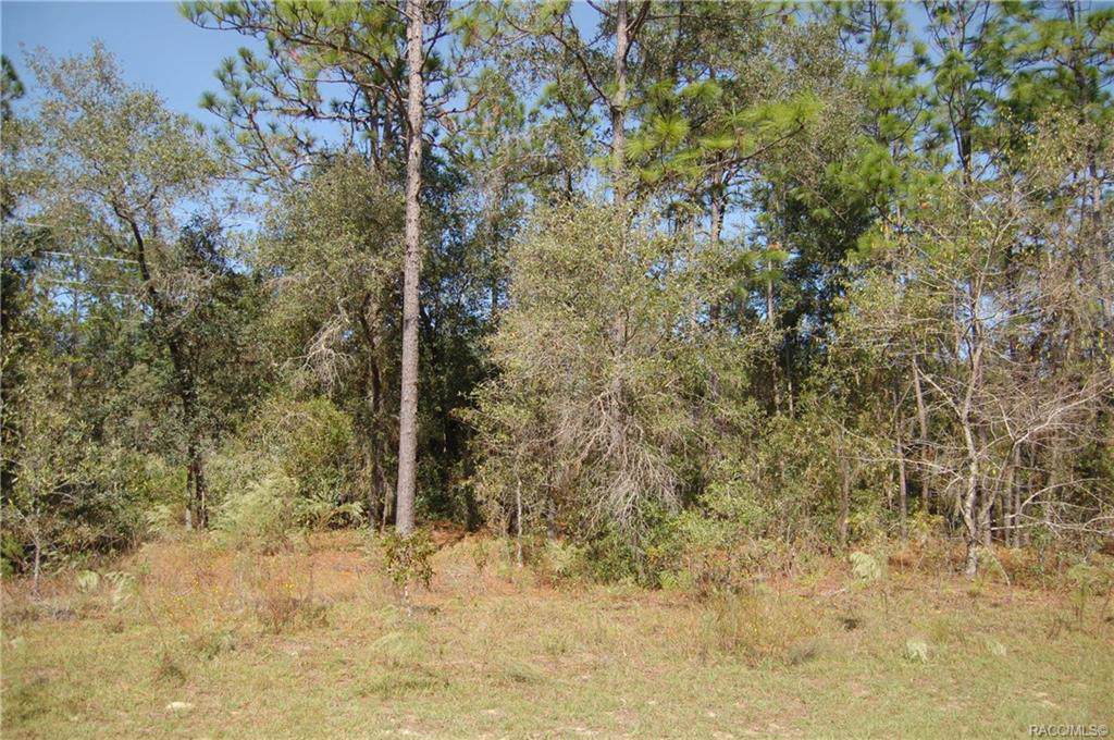 2691 Royal Palm Drive - Photo 1