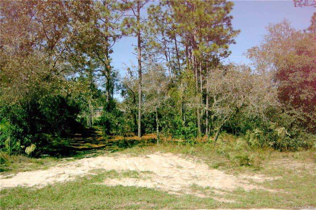 2705 Royal Palm Drive - Photo 1