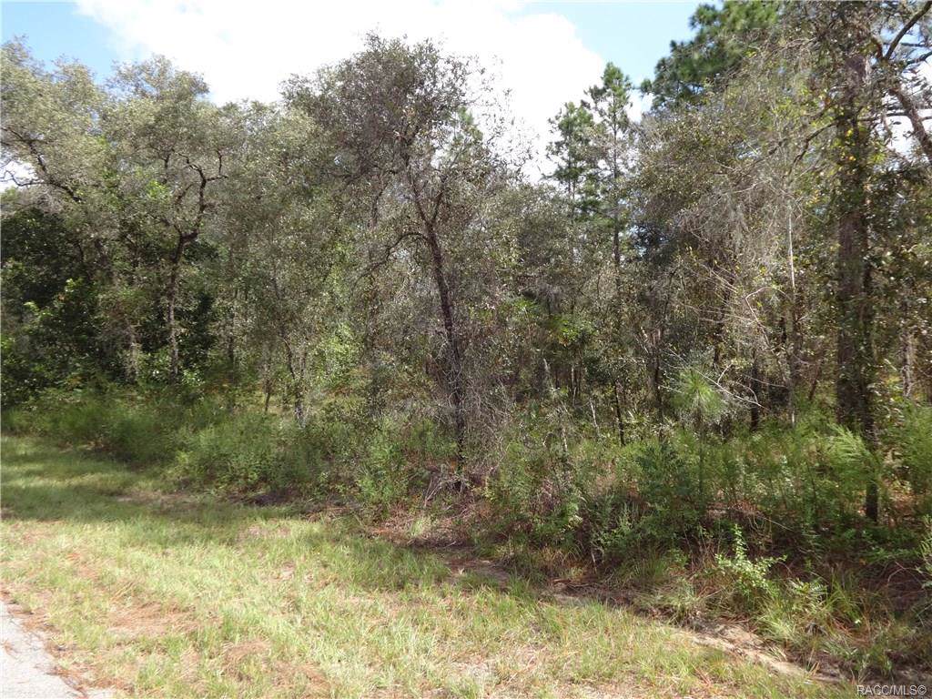 0 Buena Vista Boulevard - Photo 1