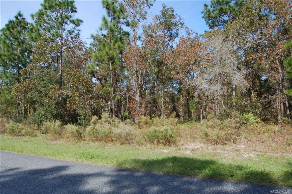 2099 Riley Drive - Photo 1
