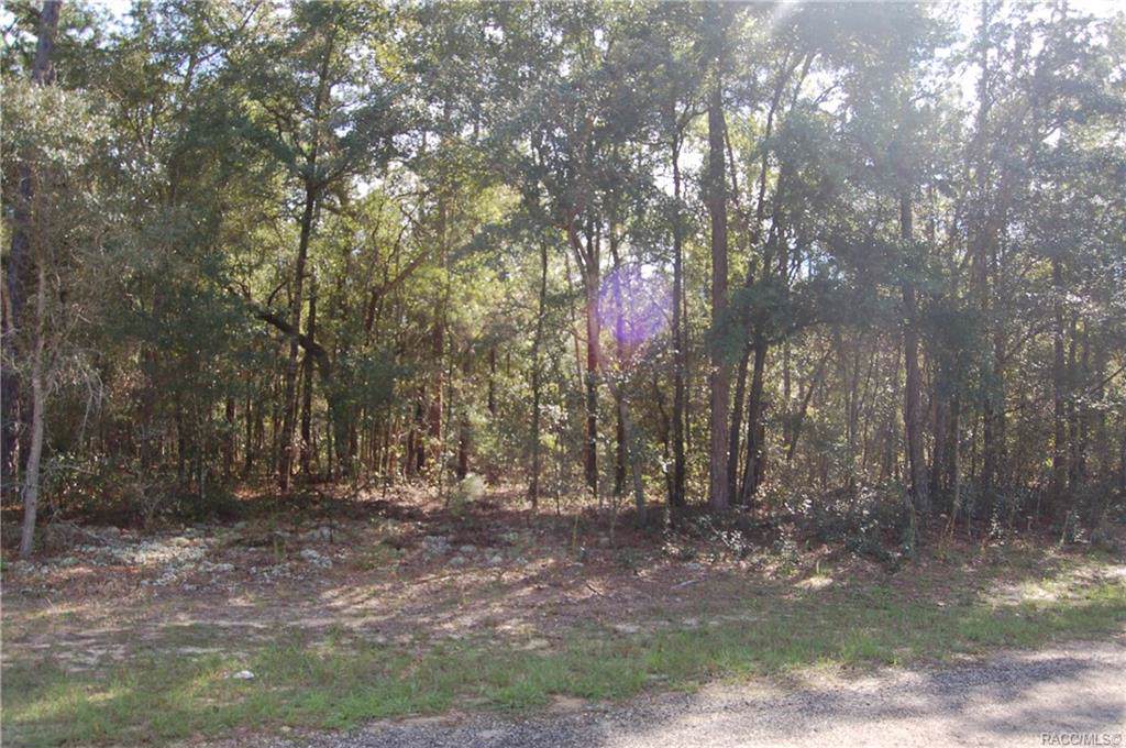 9001 Ruby Way - Photo 1