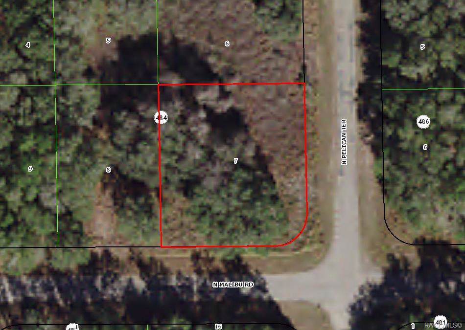 8816 Malibu Road - Photo 1
