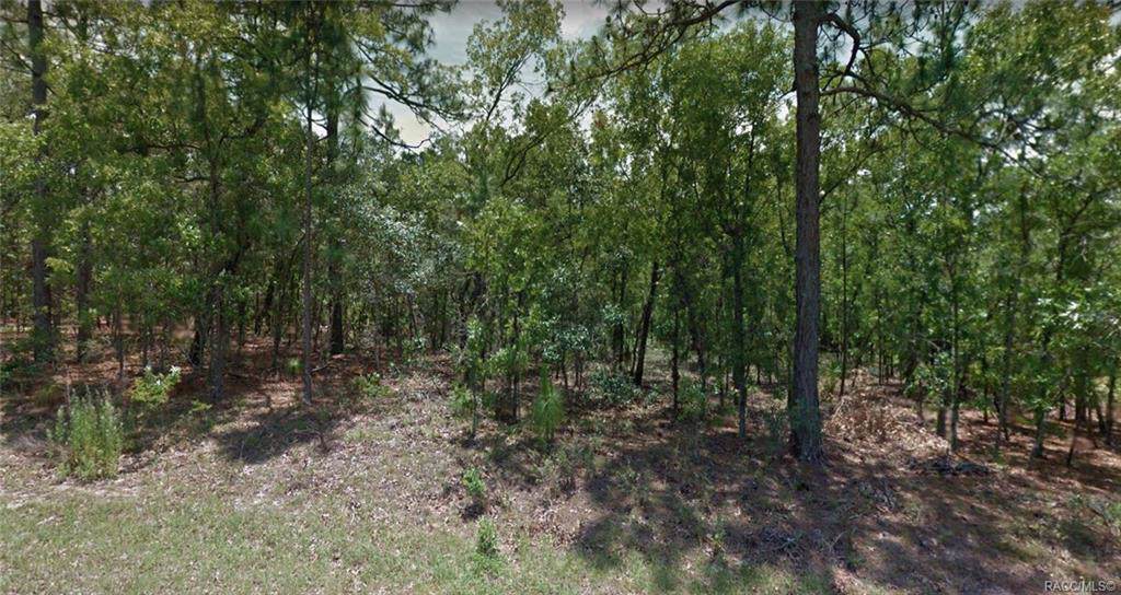 2334 Elmore Loop - Photo 1