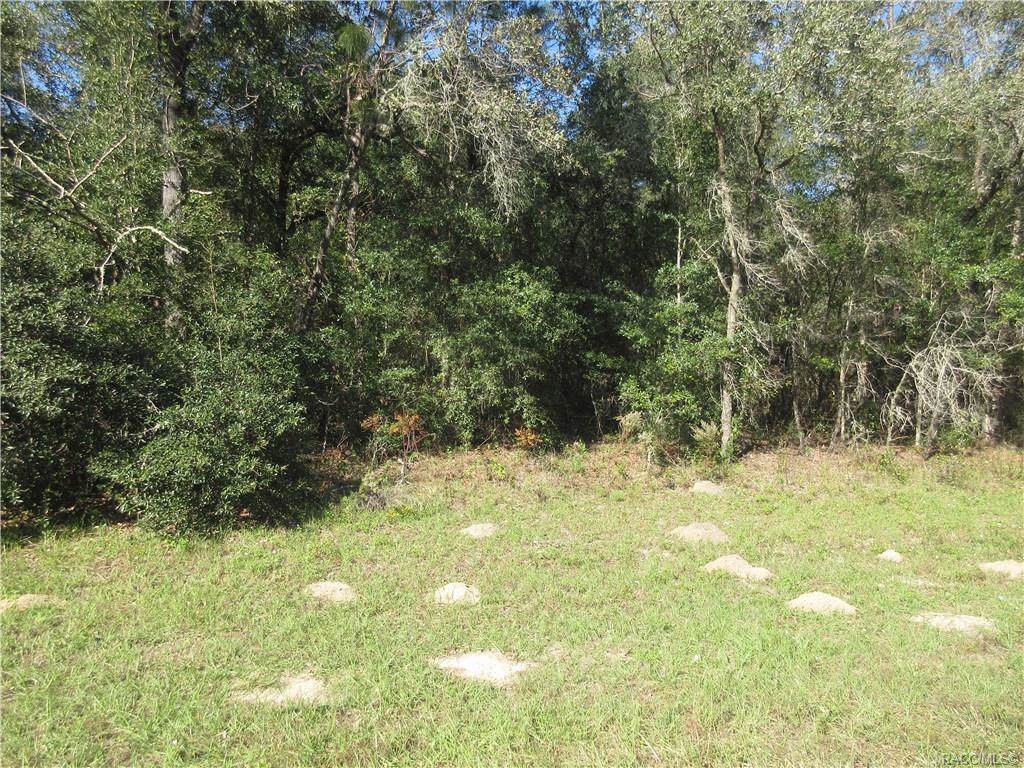 1723 Country Club Boulevard - Photo 1